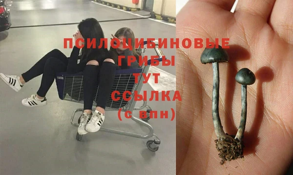соль курить ск Нефтекумск